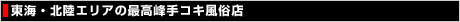 ���k�E�k���G���A�̍ō����R�L�����X�Љ�